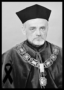 Prof. dr hab. inż. Roman Kadaj